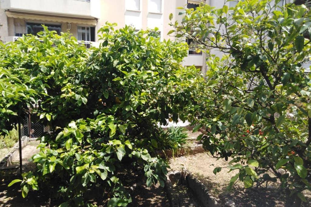 Moneghetti Apartman Beausoleil Kültér fotó